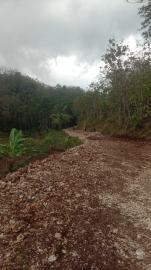 NURMALISASI JALAN USAHA TANI KALONGAN
